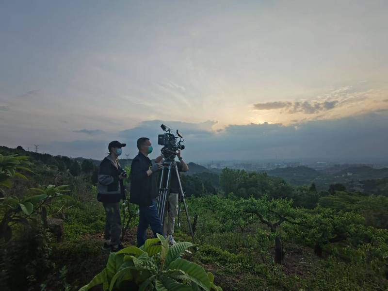 创意破圈！嘉定区电商产品宣传视频用故事化叙事引爆流量