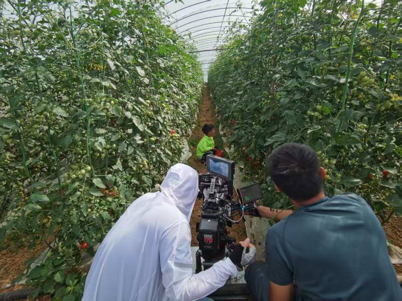 嘉定区产品宣传视频拍摄公司进阶指南，助力品牌抢占传播高地